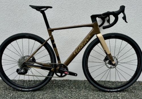 Wilier Rave SL